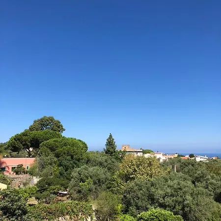 Capo Summer Apartment *